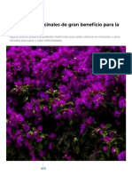 4 plantas medicinales de gran beneficio para la salud _ Mundo Sano _ Noticias e información para un estilo de vida saludable..pdf