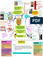 Generalidades de Oclusion