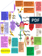 Criterios para Una Buena Oclusion