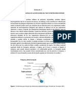 PR Ctica 3 Tracto Respiratorio Inferior