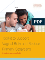 Toolkit To Support Vaginal Birth and Red PDF