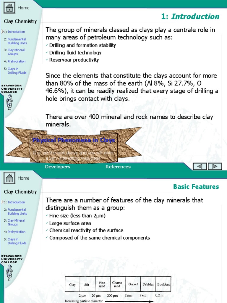 Clay Minerals in Petroleum Tech | PDF | Minerals | Chemical Compounds