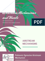 Airstream-Mechs.-and-Vowels