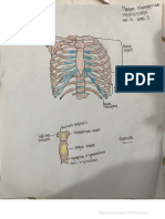 Nuryani Nainggolan 193307010090 (Praktikum Anatomi)