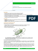 Characteristics - of - Prokaryotic - Cells PDF