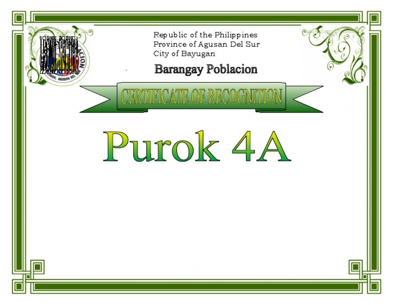 Barangay Clean & Green Champion | PDF