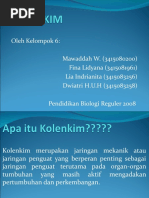 Download KOLENKIM by Lia Indrianita SN48140229 doc pdf