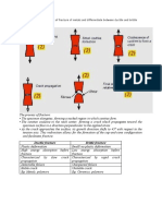 Ductile Fracture