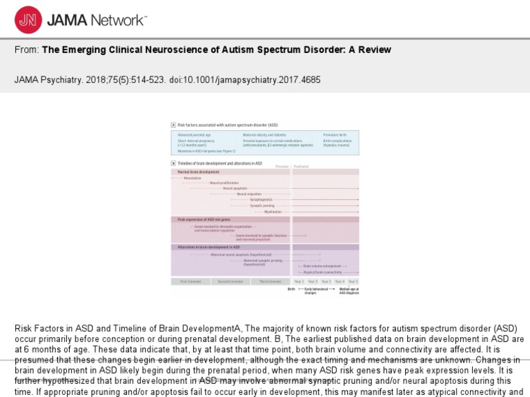 Risk Factors and Brain Development Autism | PDF