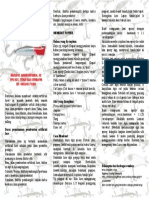 08 Khairul Anam Supanda - Leaflet Artificial Lures PDF