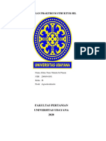 Elma Tiara Talenta BR Pinem - Struktur Sel - Kelas B PDF