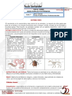 Guia 3 Ciencias Naturales 7