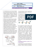 GUIA 4 CIENCIAS NATURALES 7 CUARTO PERIODO listoooo.docx