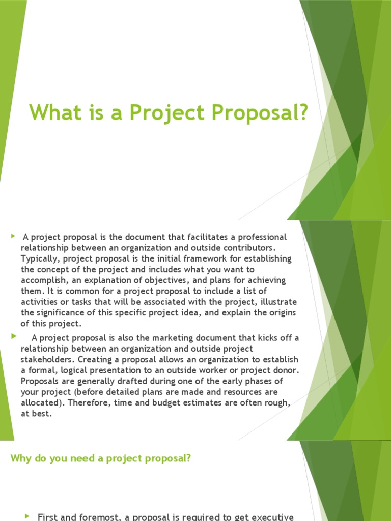 What Is A Project Proposal | PDF | Request For Proposal | Budget
