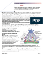 Fisiologia-Uabp5 y 6-Nut - Odt