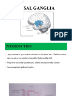 Basal Nuclei