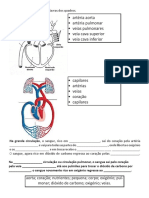 sistemacirculatrio-150525143212-lva1-app6892.pdf