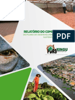 Relatório do Comitê Gestor do PDRS do Xingu 2011-2014