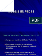 Micosis PDF