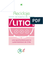 LIBRO_LITIO.pdf
