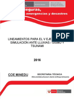 Lineamientos V Simulacion 2016