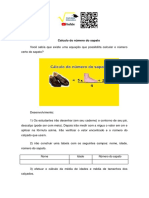 Cálculo Do Número Do Sapato Equação 1 Grau PDF