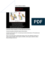 Clase 3 (Mapa Roca Madre y Estratigrafia)