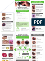 Triptic Dermatoscopia 2 PDF
