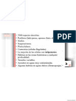 los poliferos(1).pdf
