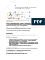 Características Bioquimicas