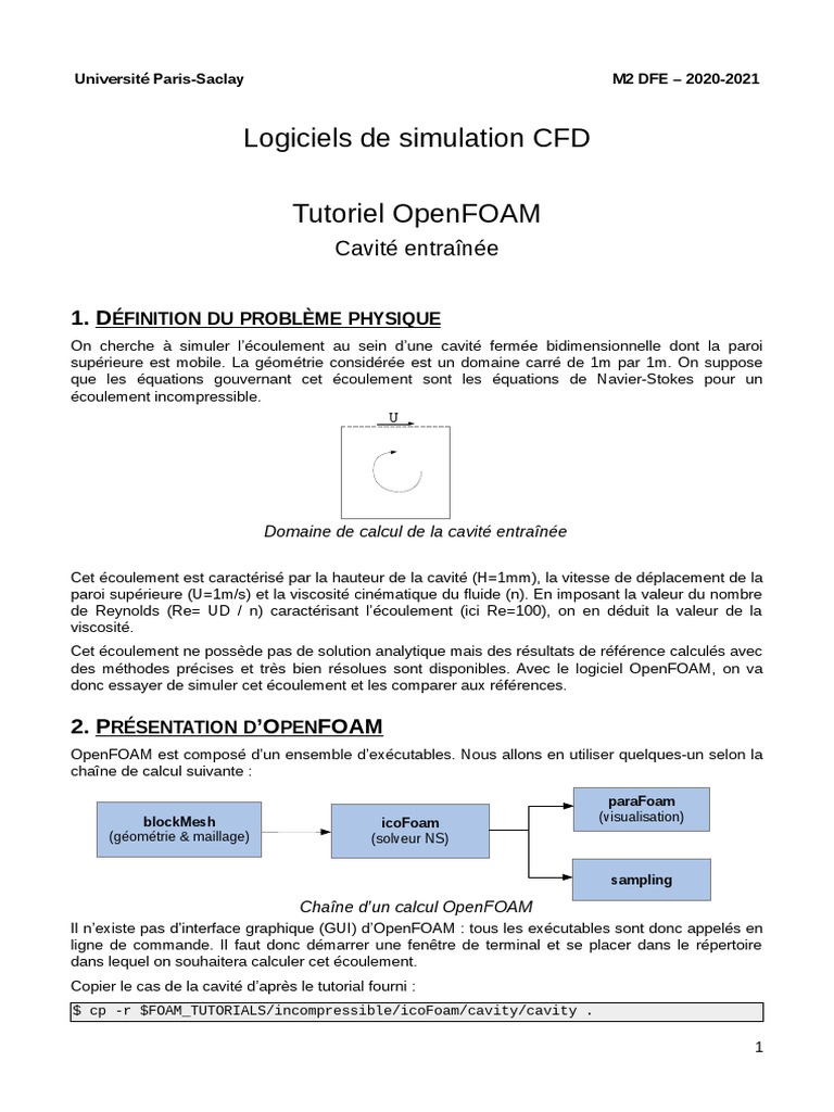 Tutoriel OpenFOAM : Simulation de Cavité | PDF | Pression | Kilogramme