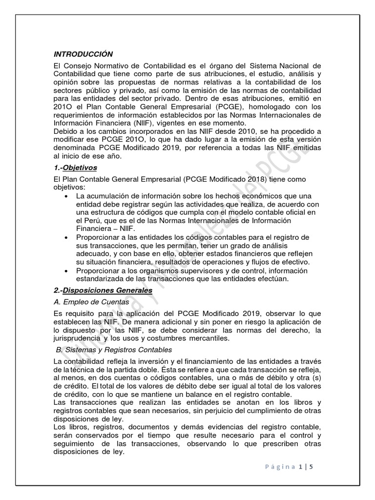 Resumen Dinámica y Naturaleza Del PCGE | PDF | Valor neto | Contabilidad