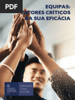 Equipas_Fatores_Critico_da_sua_Eficacia