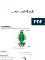Body Part-Back PDF