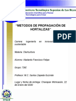 Unidad 4 Tipos de Propagación de Hortalizas