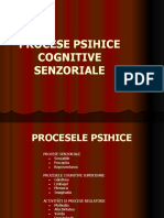 procesele_psihice_senzoriale.ppt ok.pdf