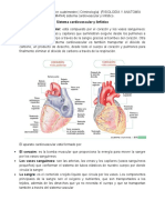 Sistema Cardiovascular y Linfatico