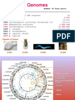 Genomes: Number of Base Pairs