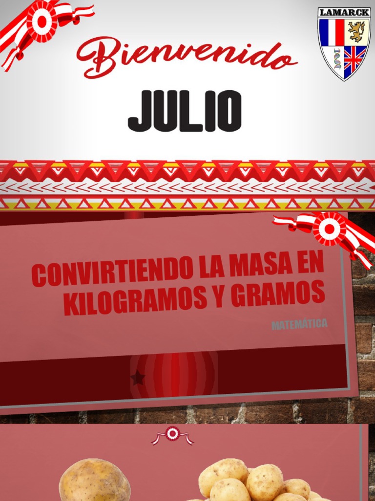 Convirtiendo La Masa En Kilogramos Y Gramos PDF
