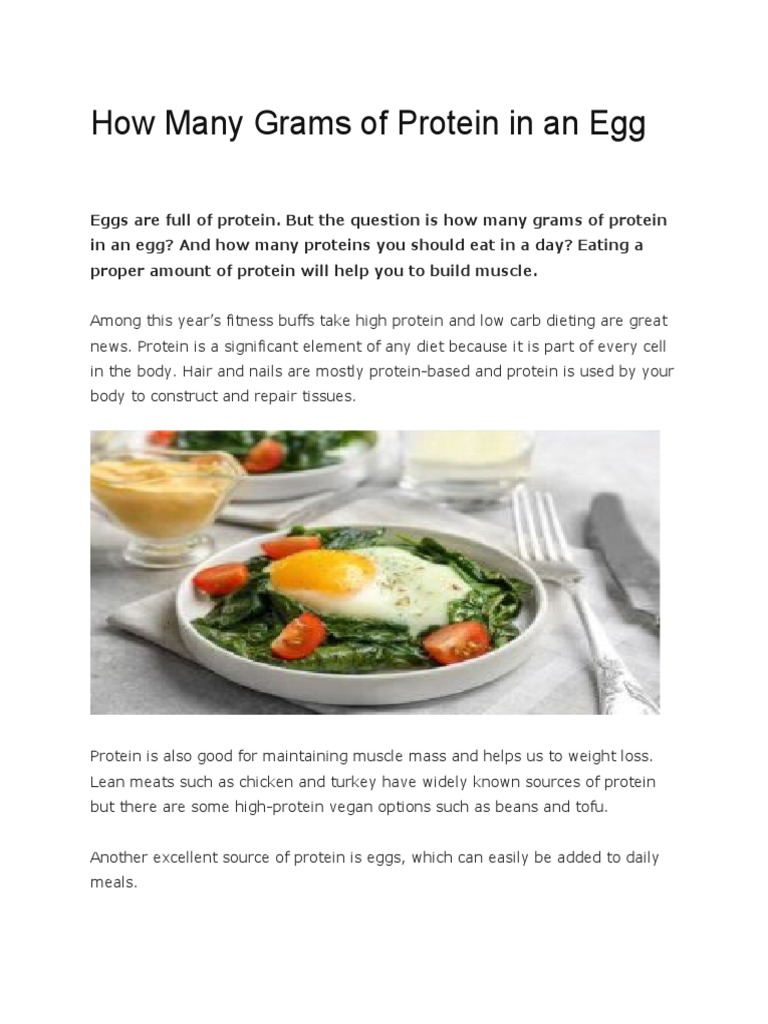 How Many Grams of Protein in An Egg PDF Dieting Egg