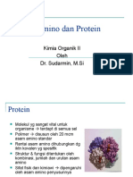 Asam Amino dan Protein