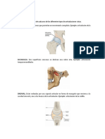 Trabajo Independiente Articulaciones