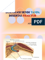 Dislokasi Sendi