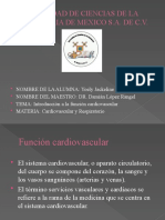 Función cardiovascular: circulación sanguínea y corazón