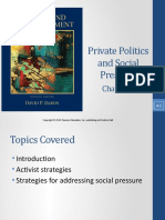 Private Politics and Social Pressure