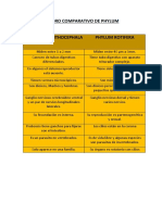 Cuadro Comparativo de Phylum