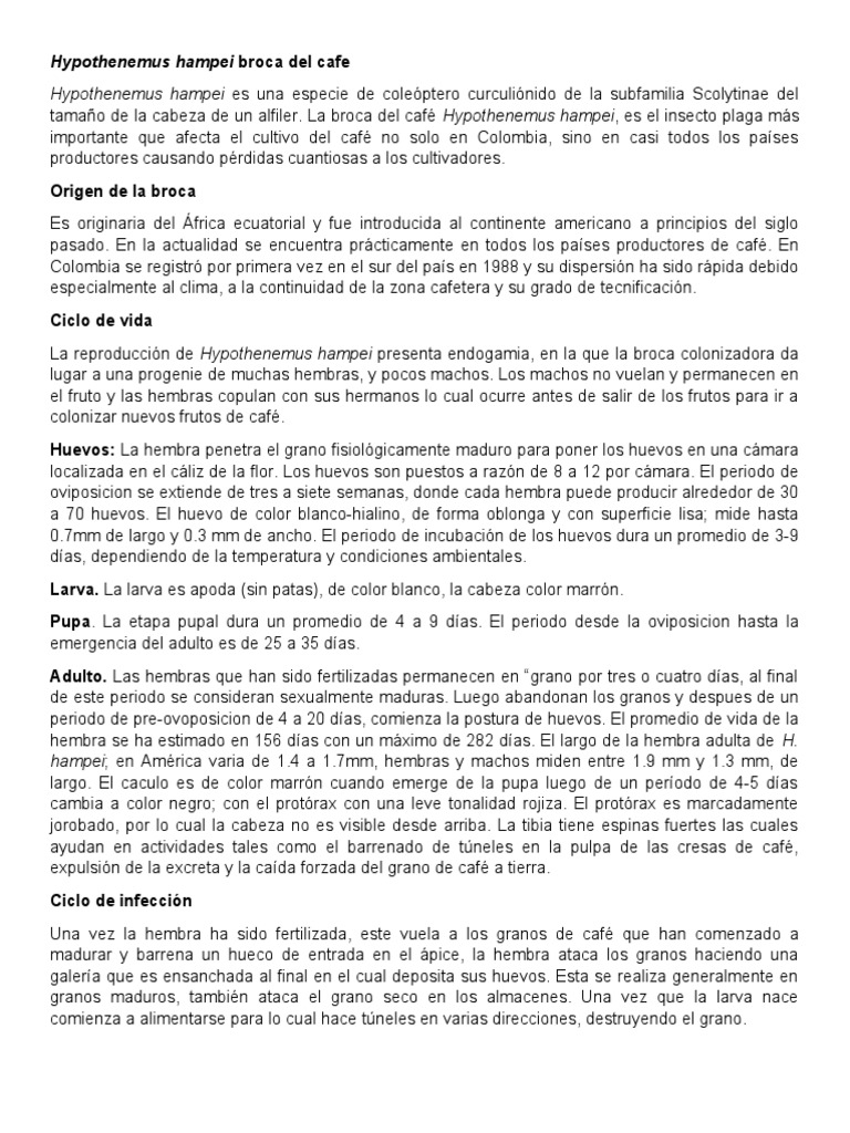 Hypothenemus Hampei Broca Del Cafe | PDF | Insectos | Organismos