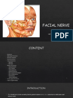 FACIAL NERVE2