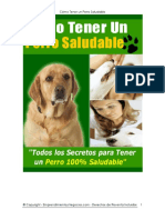 Como Tener Un Perro Saludable