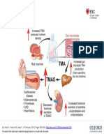 Eur Heart J, Volume 40, Issue 7, 14 February 2019, Pages 583-594